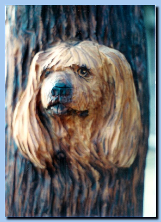 2 091 Totem Non Traditional Animal Pole Archive 07